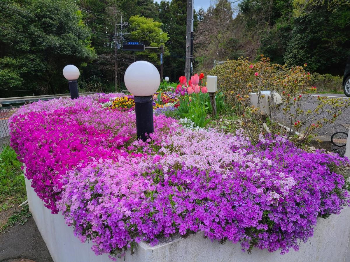 Flower Sagamiko (adults Only) 2* Hachiōji