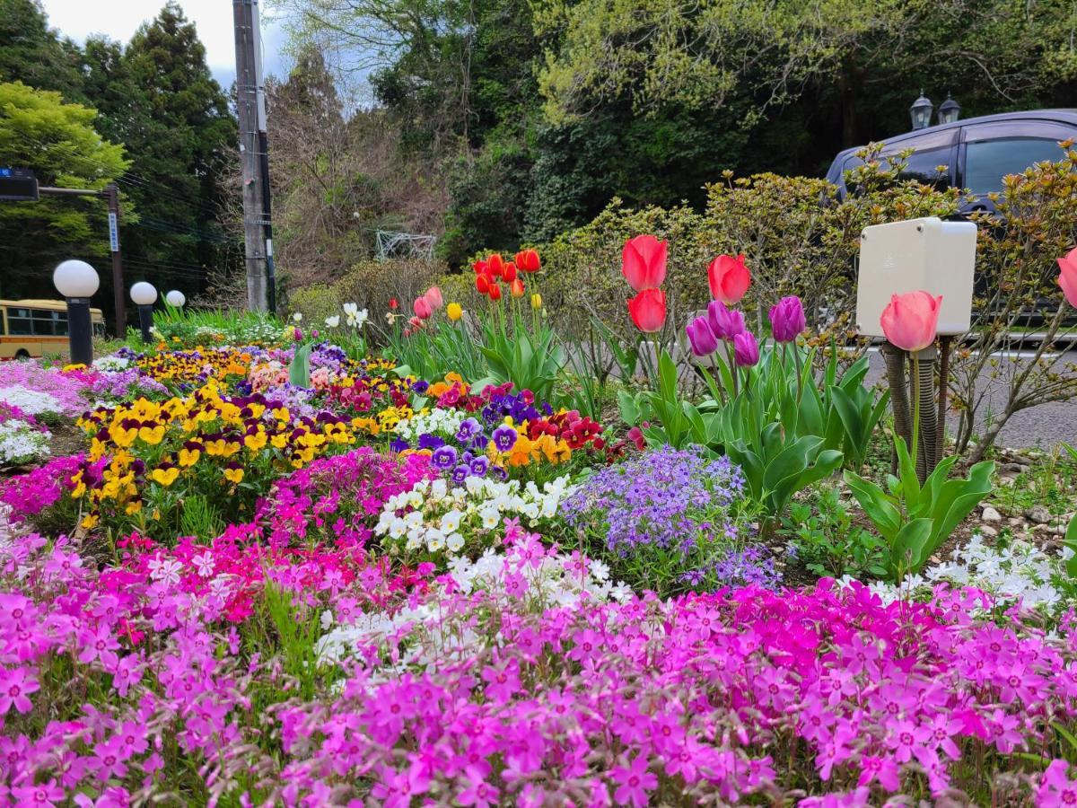 Flower Sagamiko (adults Only) 酒店 2*