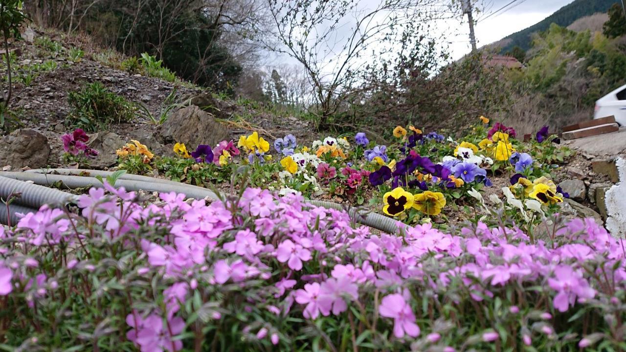 Flower Sagamiko (adults Only)